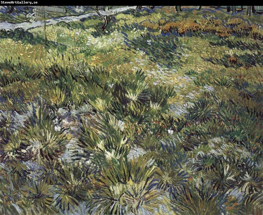 Vincent Van Gogh Long Grass with Butterflies